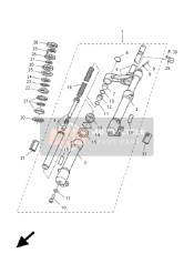 Forcella anteriore